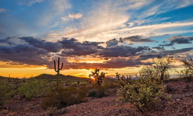 chandler-desert